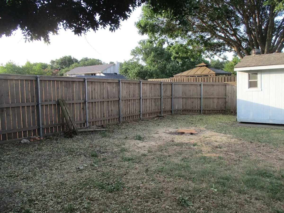 Cleared yard after professional tree removal in Jerusalem